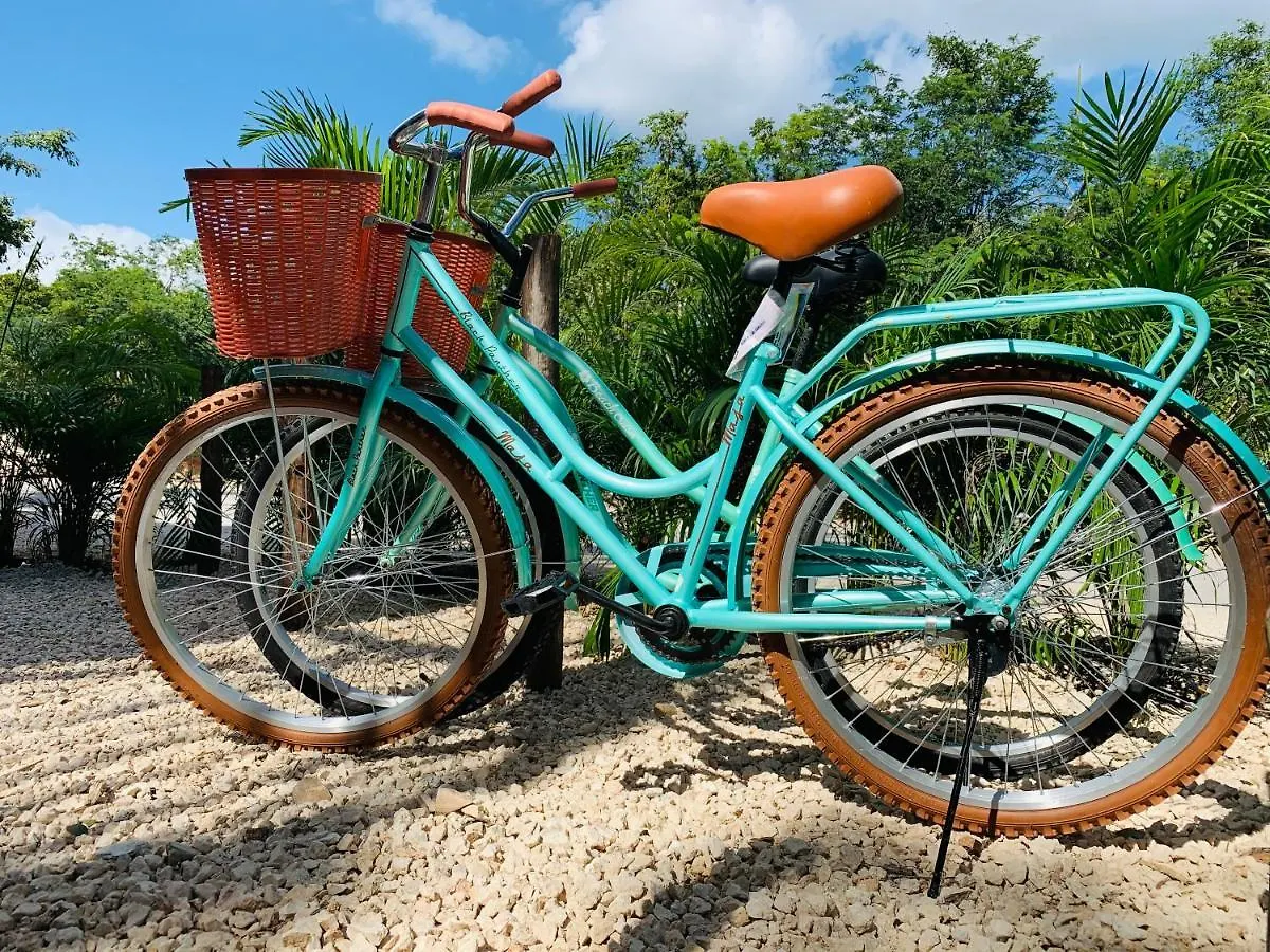 Vida Jungle Boho Apart 13 With Special Fee To Access Hotel Bardo Tulum 0*,