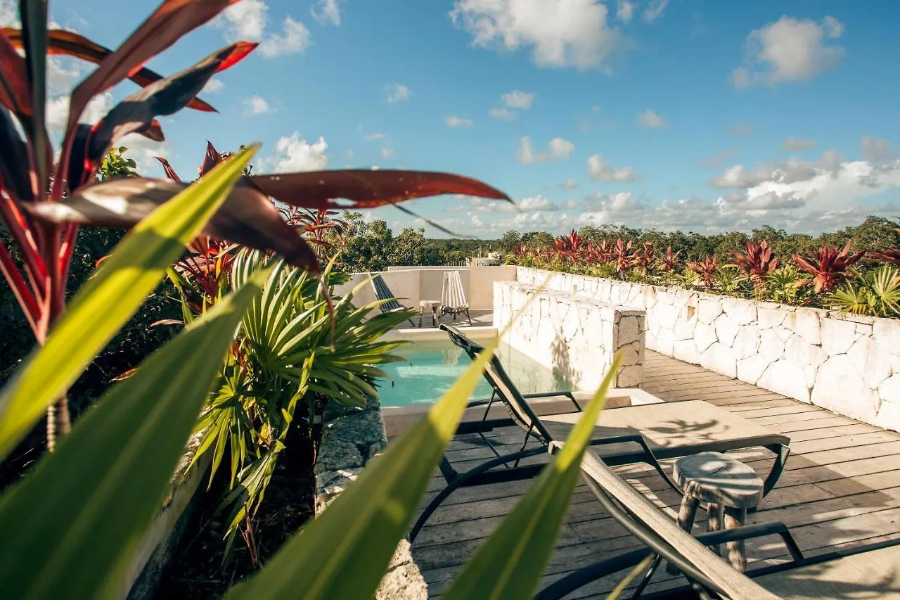 Apartment Vida Jungle Boho Apart 13 With Special Fee To Access Hotel Bardo Tulum