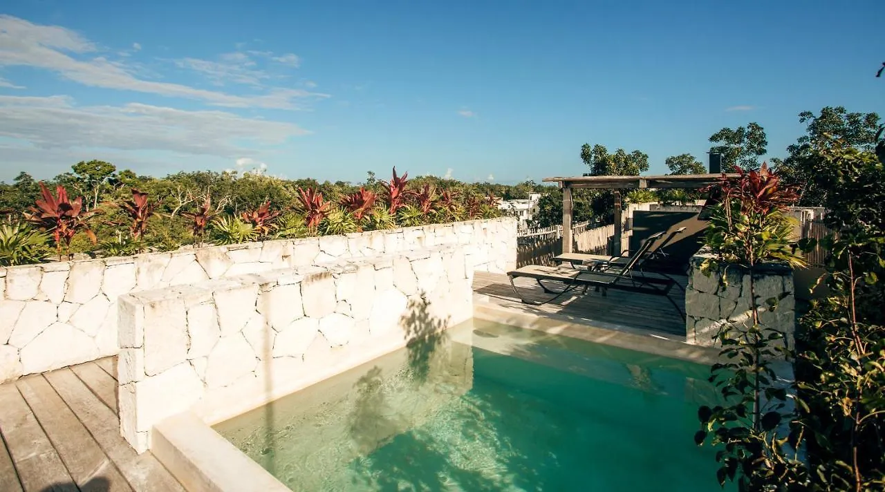 Apartment Vida Jungle Boho Apart 13 With Special Fee To Access Hotel Bardo Tulum Mexico